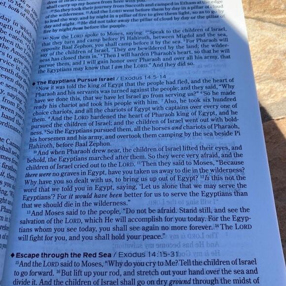 The One Year Chronological Bible 52 Weeks: Know the Bible - Picture 3 of 5